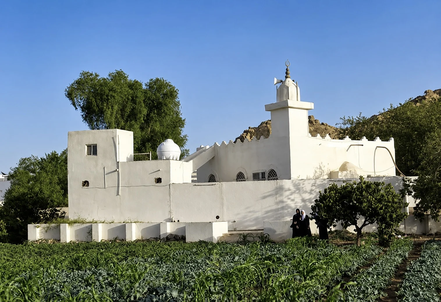 Addas Mescidi